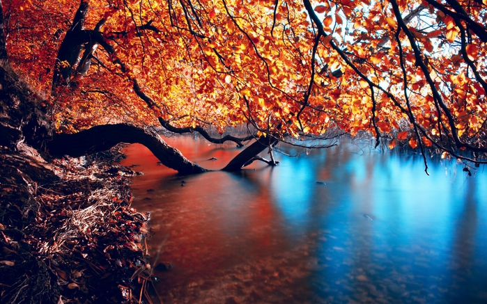 Wallpapers by Deathsoul (Amazing Nature) Part 5 1 (19) (700x437, 333Kb)