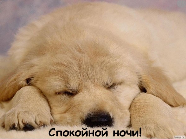 http://img0.liveinternet.ru/images/attach/c/6/93/66/93066008_1351109080_1340287879_0_4735f_86992384_xl600x450.jpg