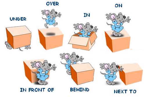 3949747_prepositions_of_position (506x333, 20Kb)