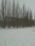  20121113_142548 (375x500, 352Kb)