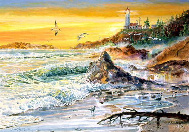 lighthouse-5-rocky-shoreline-by-jess-hager (612x426, 221Kb)
