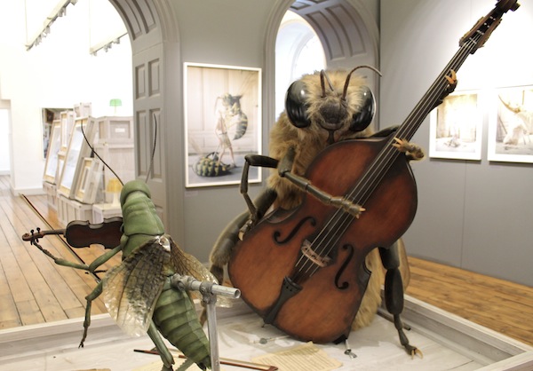 Tim-Walker-Story-Teller-exhibition-bumble-bee-fly-Somerset-House (600x418, 78Kb)