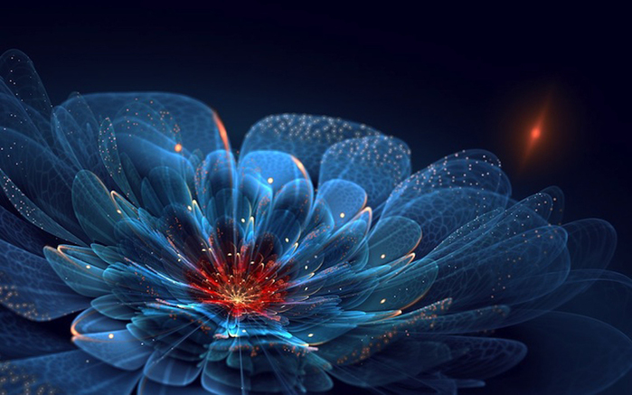 фрактальные цветы картинки Сильвия Кордедда (700x437, 243Kb)