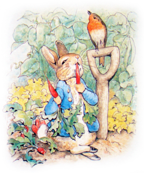 the_tale_of_peter_rabbit_101 (499x600, 238Kb)