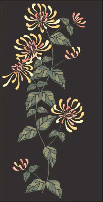 honeysuckle (357x700, 65Kb)