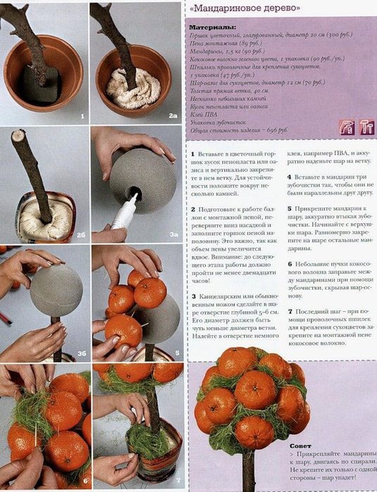 Дерево из мандаринов