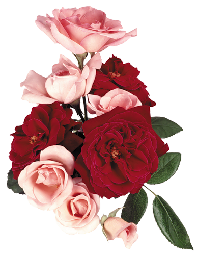 0_52bbf_d3ff0beb_L (389x500, 254Kb)