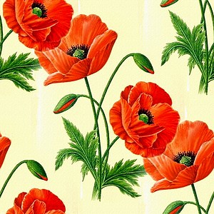 poppy33 (300x300, 41Kb)