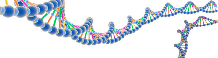 DNK (700x187, 111Kb)