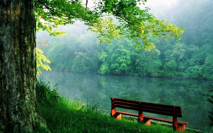 1029160-r3l8t8d-1000-nature___rivers_and_lakes_bench_by_the_river_081332_ (700x437, 392Kb)