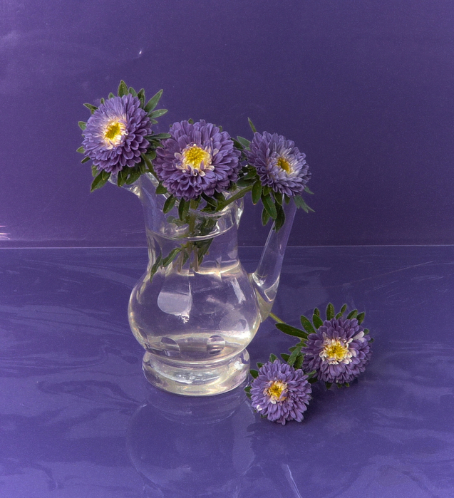 цветы в вазе 8 (637x700, 485Kb)