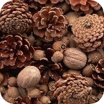 4457709_default1 (150x150, 66Kb)