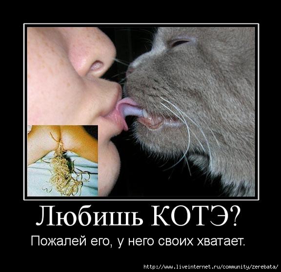 лекарства от гельминтов для кошек лекарства от гельминтов для кошек