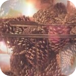 4457709_default13 (150x150, 62Kb)