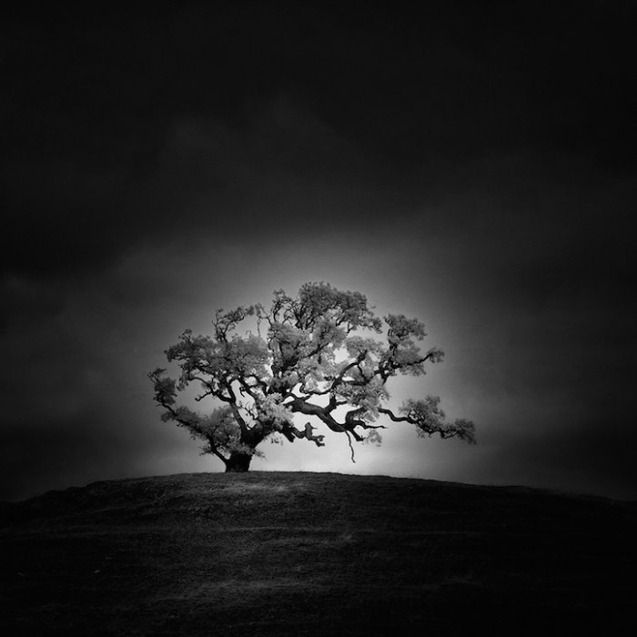 4 (700x700, 127Kb)
