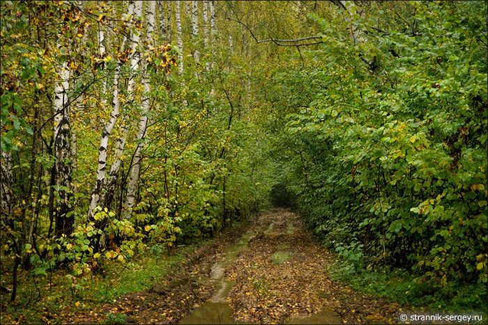 5915744_201309144729 (700x467, 136Kb)