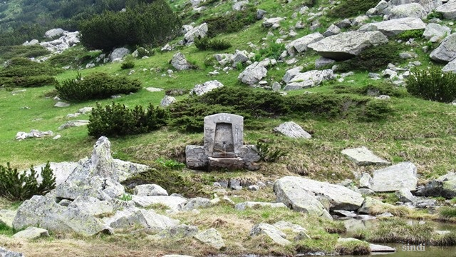 IMG_3378 a (640x360, 331Kb)