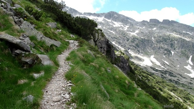 IMG_3381 a (640x360, 267Kb)