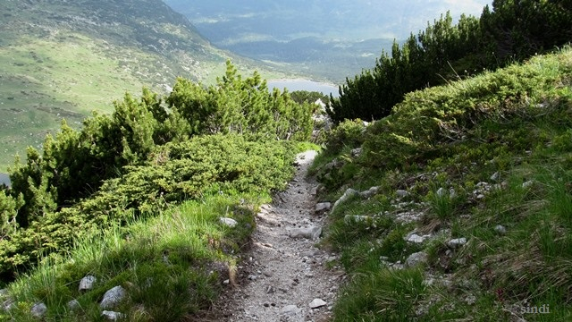 IMG_3383 a (640x360, 325Kb)