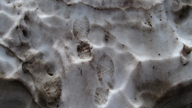 IMG_3386 a (640x360, 179Kb)