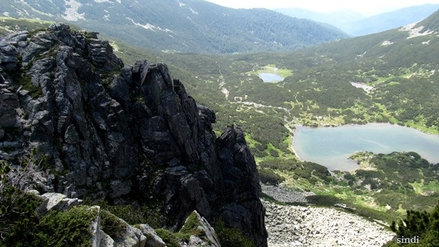 IMG_3395 a (640x360, 265Kb)