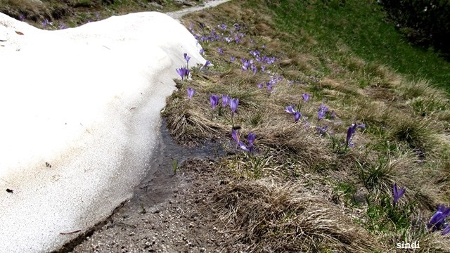 IMG_3401 a (640x360, 284Kb)