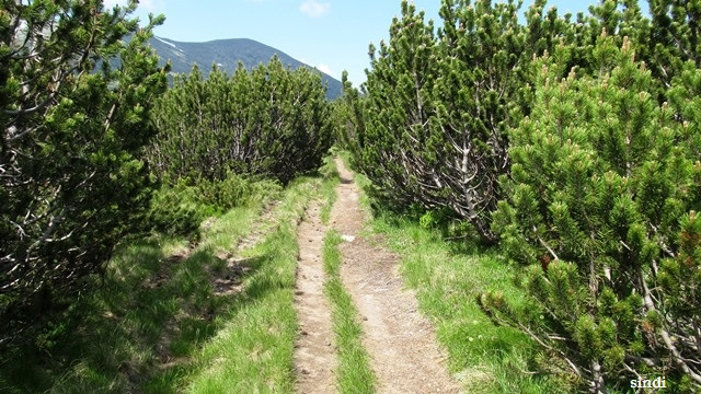 IMG_3433 a (640x360, 357Kb)