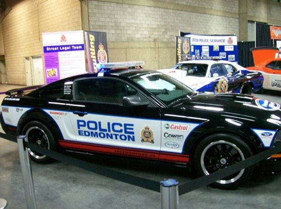 police car 17 (560x417, 47Kb)