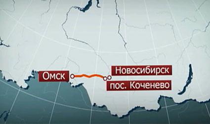 Кот прошел 700 км, чтобы вернуться домой из Омска