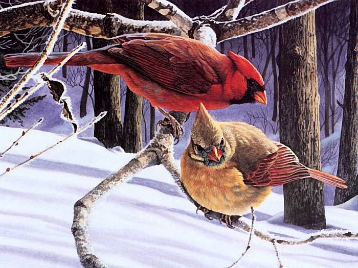 posterlux-ohota_ribalka_jivotnie-winters_pair (700x525, 324Kb)