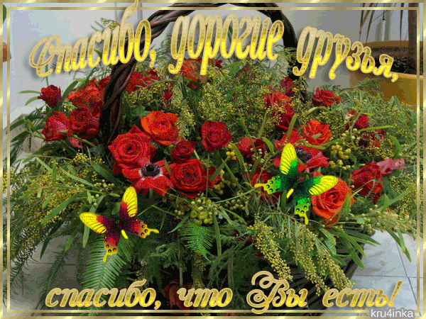 http://img0.liveinternet.ru/images/attach/c/7/94/28/94028886_spasibo_druzya_chto_vuyest.gif