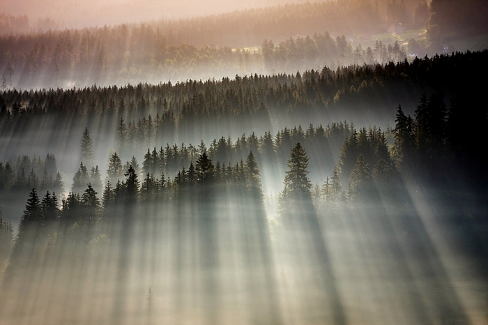 Boguslaw_Strempel_01 (700x466, 322Kb)