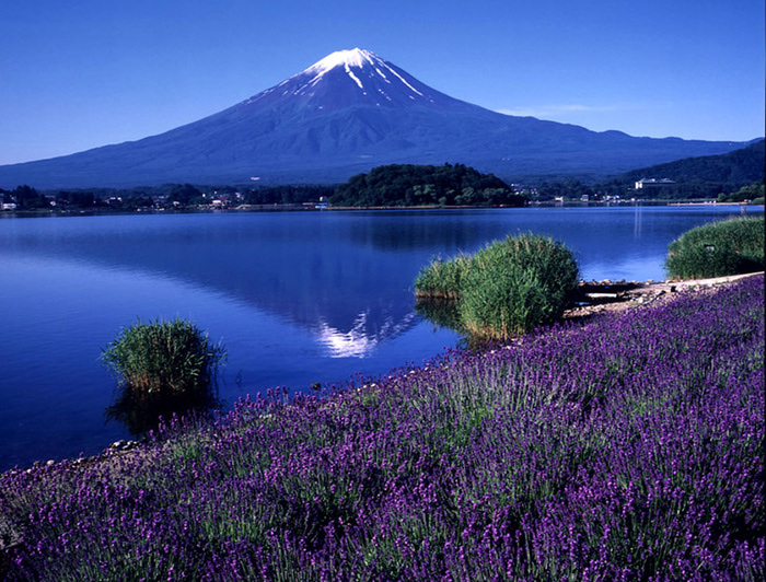 climbing-Mount-Fuji-in-Japan.5 (700x532, 216Kb)