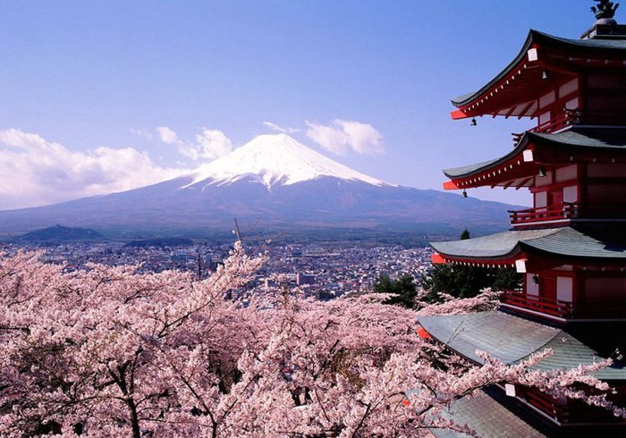 Три символа Японии пагода Фудзияма и цветущая сакура (700x490, 103Kb)