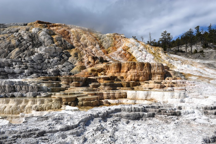 Mammoth Hot Springs 35879