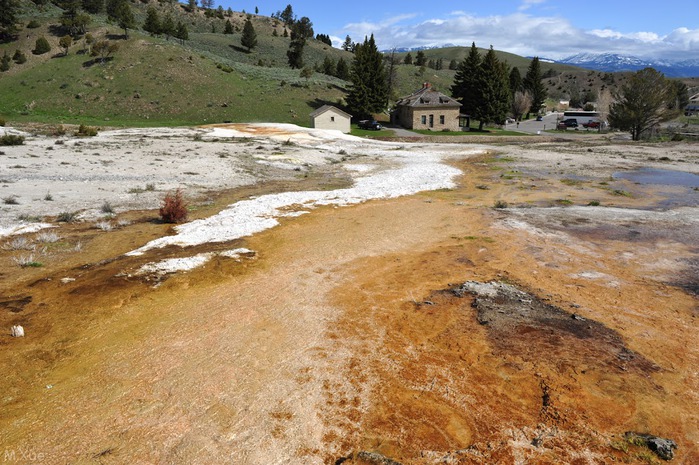 Mammoth Hot Springs 88187