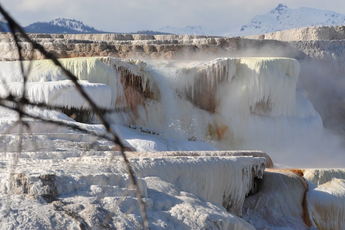 Mammoth Hot Springs 81398