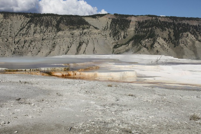 Mammoth Hot Springs 77521