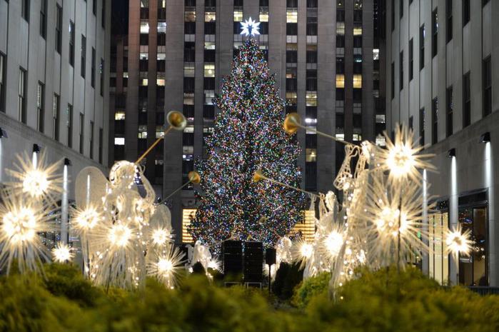 В США зажгли главную рождественскую ель