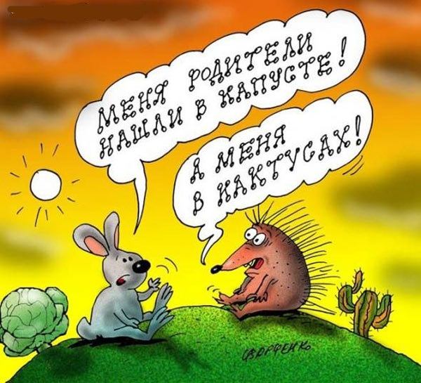Анекдоты про ежика и лося Анекдоты про ежика и лося
