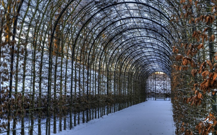 Красота садов в зимний период (Beautiful gardens in winter)