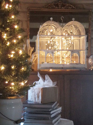 christmas-lights-in-birdcage (298x400, 33Kb)