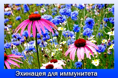 Что исключить чтобы быстро похудеть