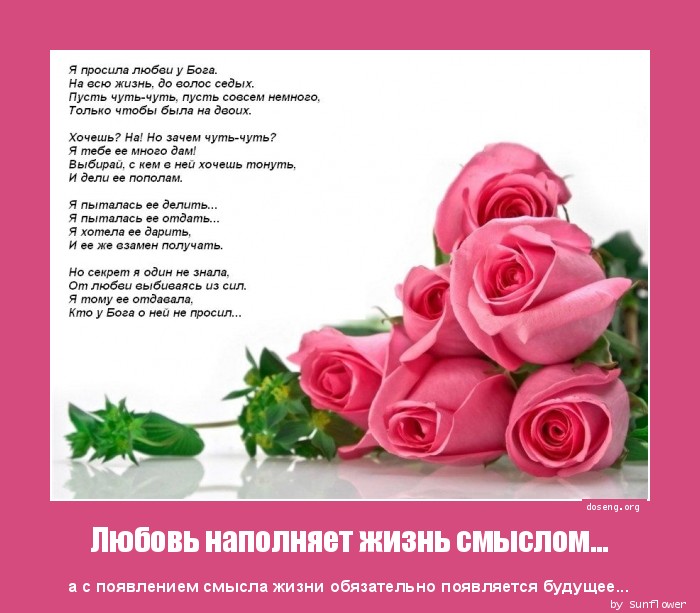 Стих ты наполнил мою жизнь Стих ты наполнил мою жизнь