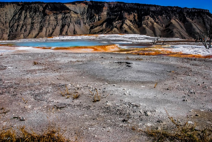 Mammoth Hot Springs 84736