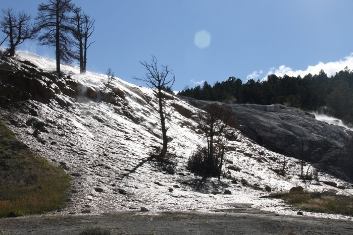 Mammoth Hot Springs 85654