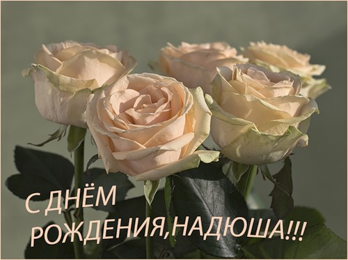 http://img0.liveinternet.ru/images/attach/c/7/94/70/94070528_0_4413e_aa0965f_L.jpg