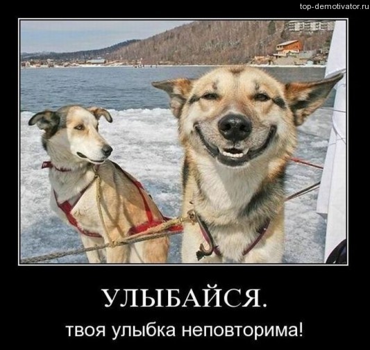 http://img0.liveinternet.ru/images/attach/c/7/94/707/94707804_tn533x504.jpg