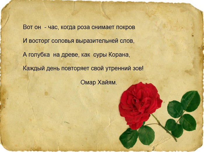 Цитаты о шиповнике Цитаты о шиповнике