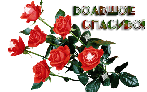 http://img0.liveinternet.ru/images/attach/c/7/94/823/94823228_78215013_bolshoe_spasibo.gif